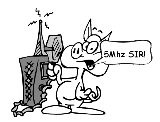 5Mhz NET