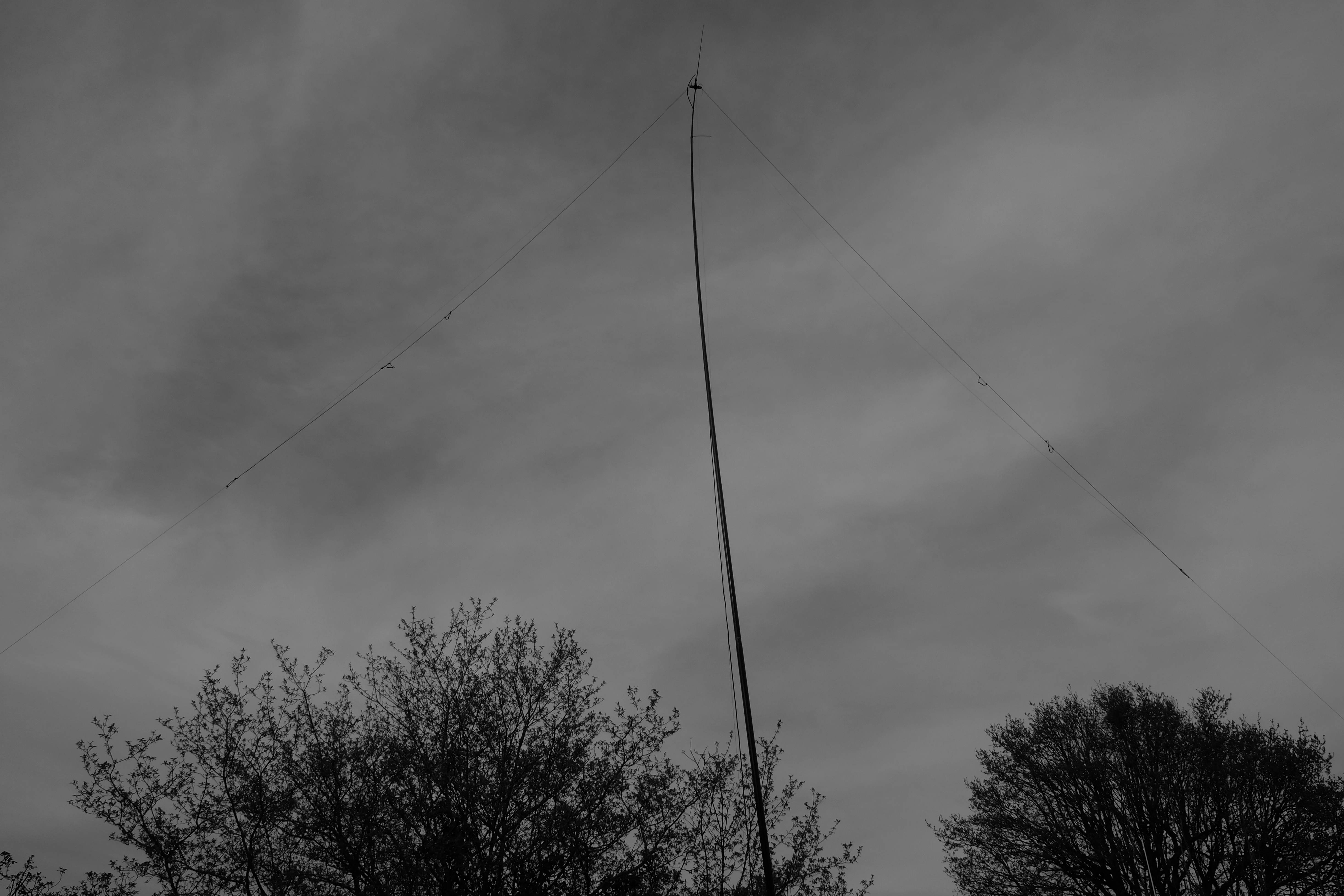Linked dipole on a sunny day